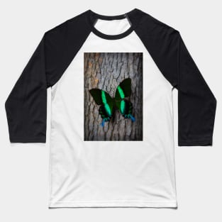 Green Blue Butterfly Resting On Tree Baseball T-Shirt